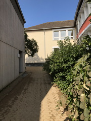 IMG 9175