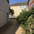 IMG 9175