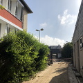 IMG 9176