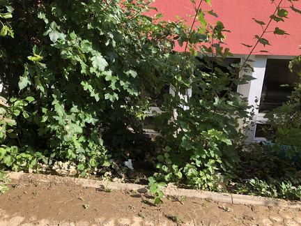 IMG 9177