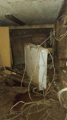 photo 2021-08-05 08-31-09