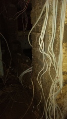 photo 2021-08-05 08-31-21