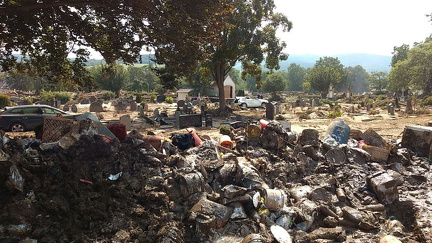 photo 2021-08-05 08-31-53