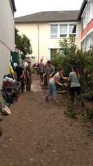 photo 2021-08-05 08-34-09