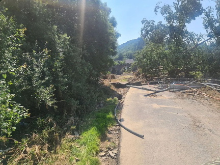 photo 7 2023-08-08 22-35-51