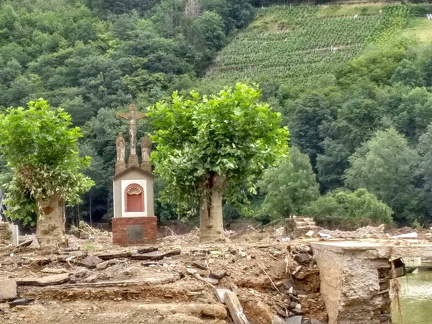 photo 2023-08-17 13-21-53