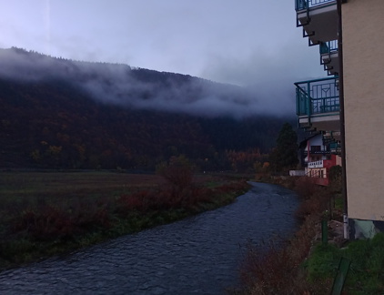 IMG 20221126 074154