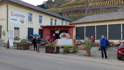 photo 2023-12-29 10-52-47