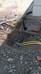 photo 1130@04-09-2022 09-50-42