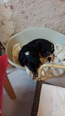 photo 1503@08-01-2023 10-46-13