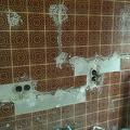 photo 169@25-02-2022 12-46-28