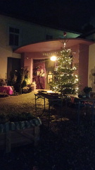 photo 1433@11-12-2022 19-10-06