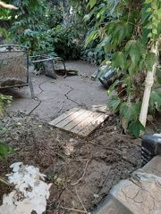 photo 45 2024-04-22 11-14-45