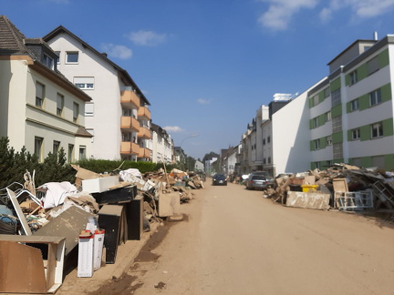 photo 48 2024-04-22 18-04-21