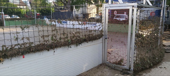 photo 12 2024-04-22 22-03-59