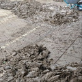 photo 14 2024-04-22 22-03-59
