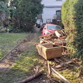 photo 18 2024-04-22 22-03-59