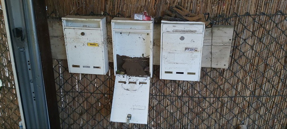 photo 19 2024-04-22 22-03-59