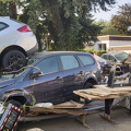 photo 24 2024-04-22 22-03-59