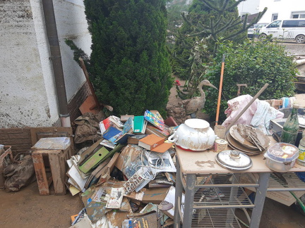 photo 6 2024-04-25 19-29-42