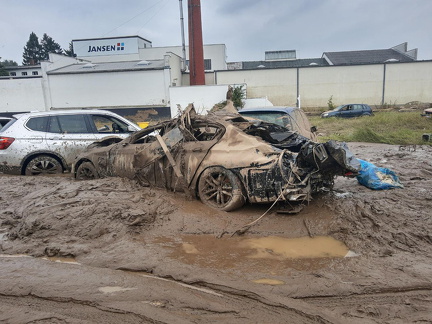 photo 7 2024-04-25 19-29-42