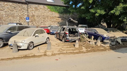 photo 6 2025-03-17 11-07-33